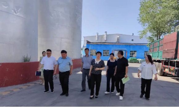 提信心 促發(fā)展|奎屯市副市長、伊犁州科技局局長、奎屯市科技局局長一行調(diào)研金雪馳奎屯工廠